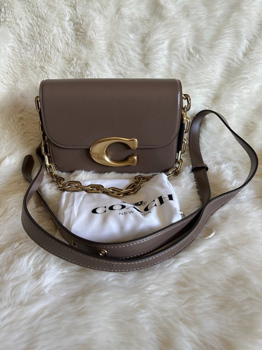 NWT! Coach CM557 Idol Handbag In Dark Stone Smooth Leather 2Way Chains Crossbody